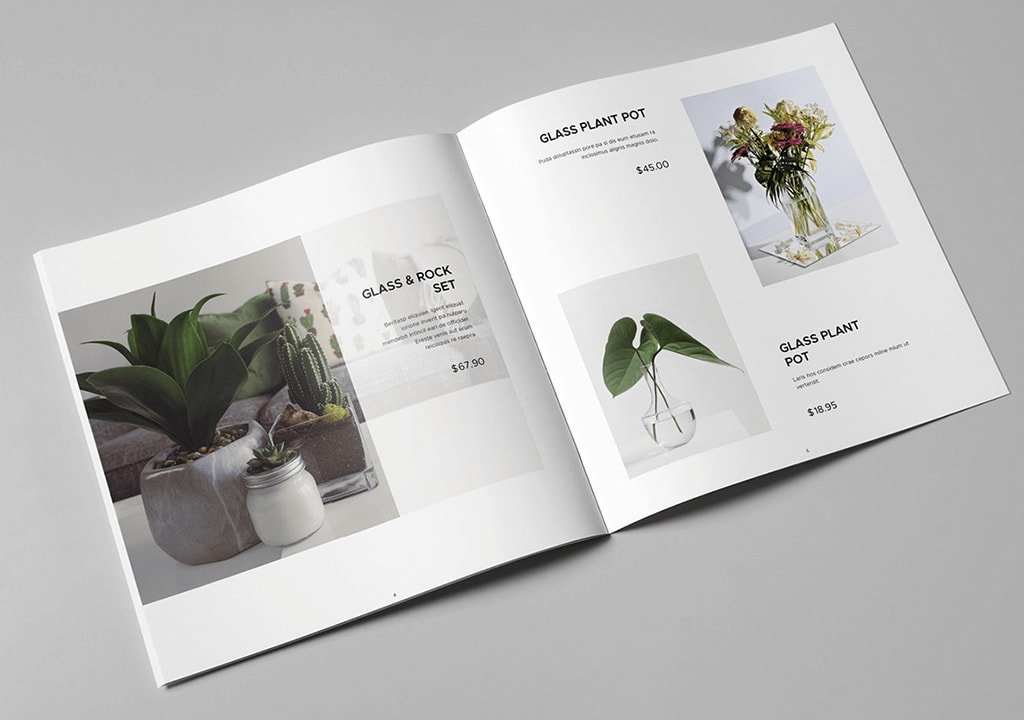 Catalogs & Magazines